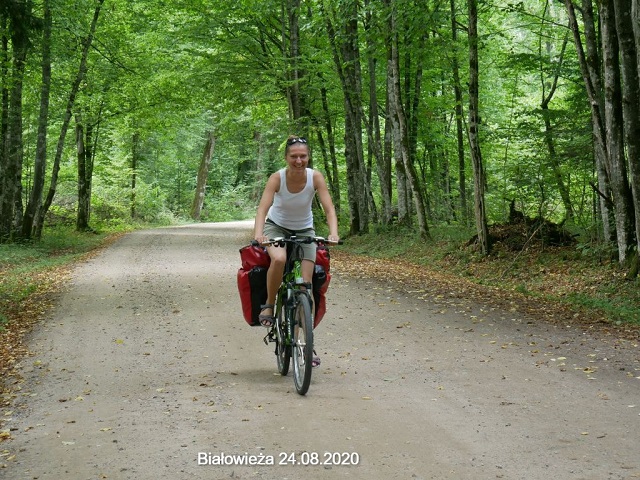 078_puszcza_bia9532owieska_1.jpg