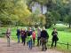 1-dsc_0209_m_t1.jpg