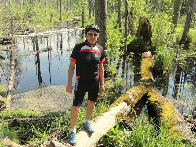 16bialowieza19.JPG