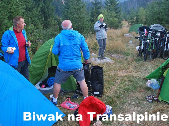 19transyl17.jpg