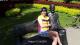 3105_1_t1.jpg