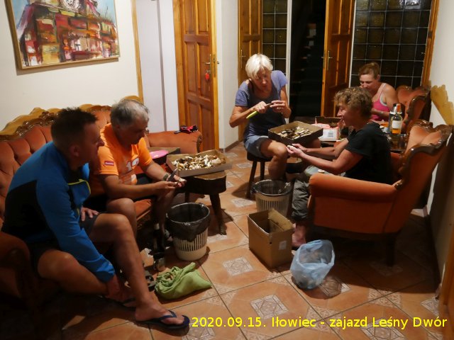 2020_09_15_ilowiec_lesny_dwor.jpg